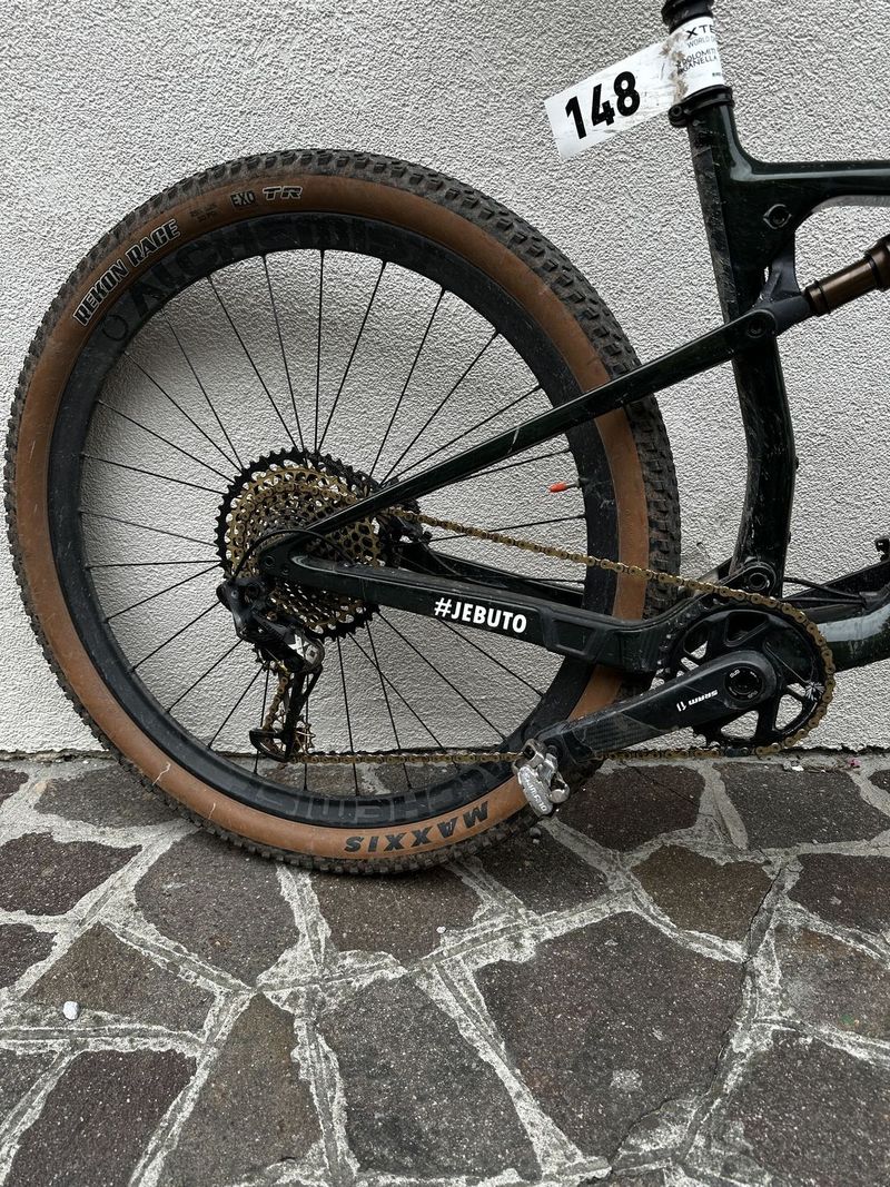 Orbea oiz custom