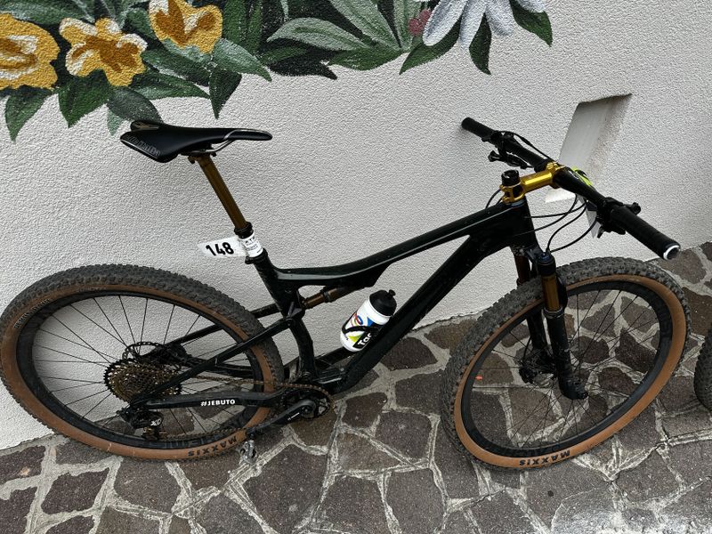 Orbea oiz custom