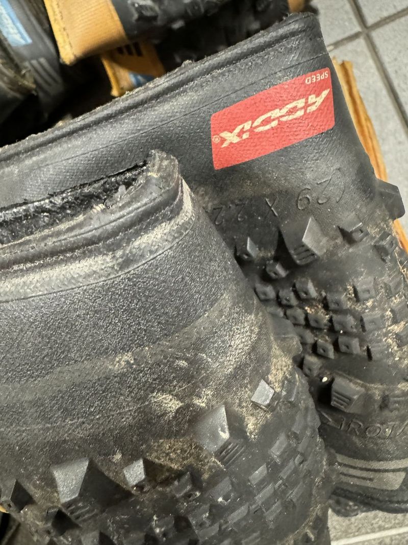 6x pláště Schwalbe Racing Ray, Thunder Burt