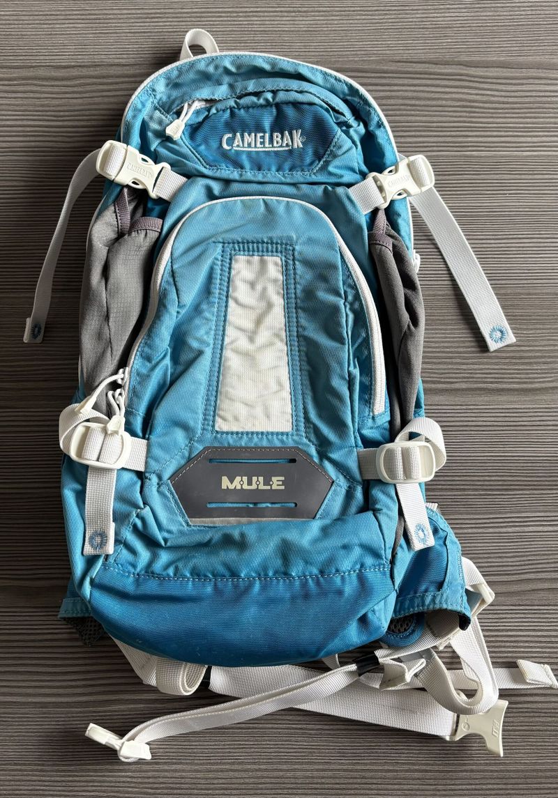 Camelback Mule