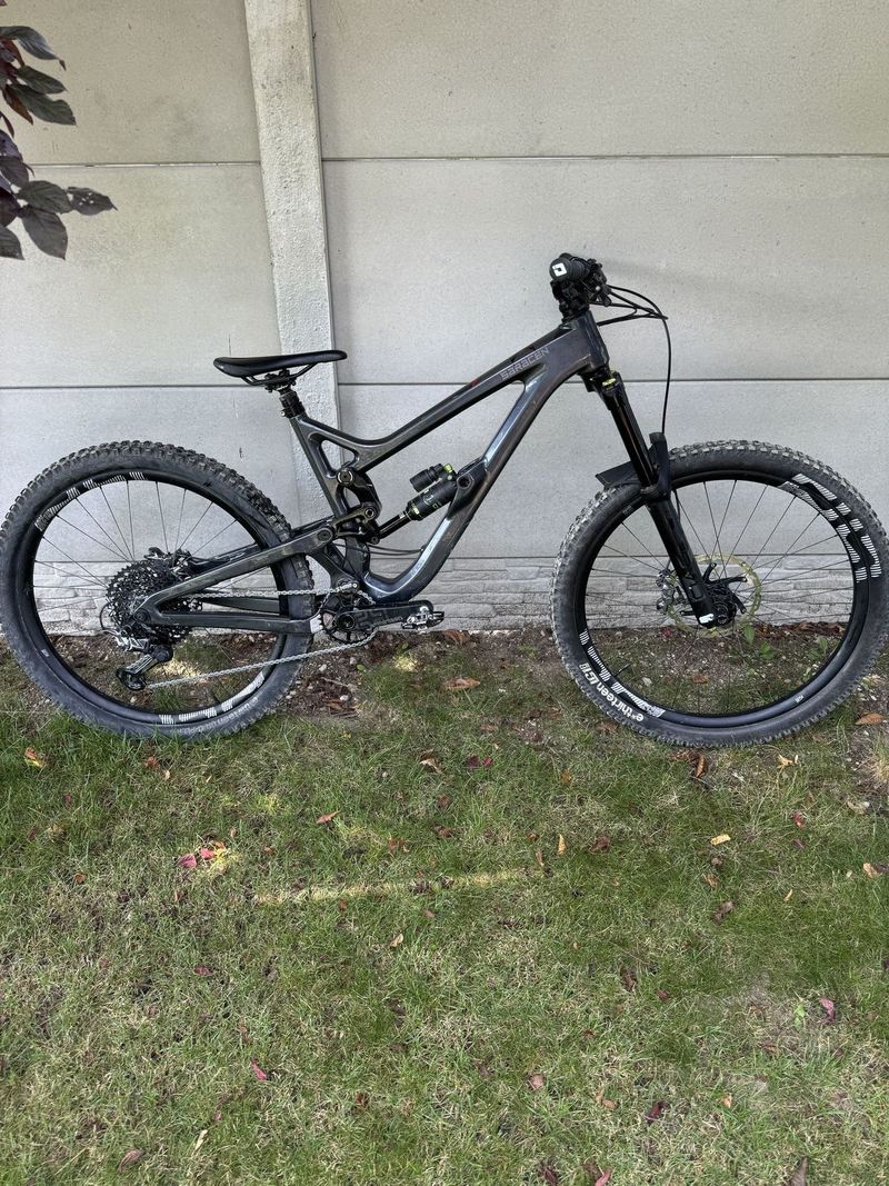 Saracen Ariel ltx Carbon