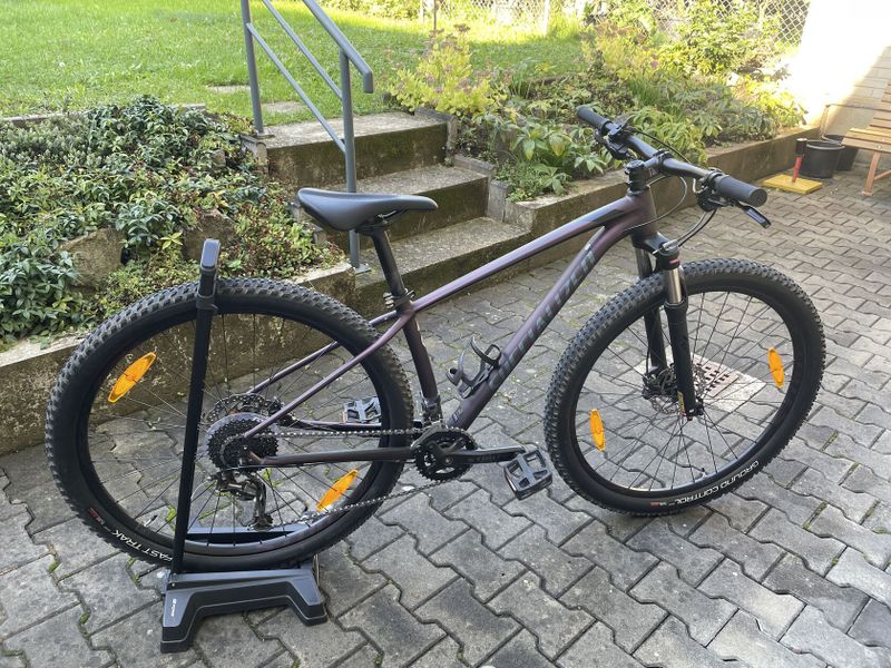 Horské kolo Specialized Rockhopper Expert 2019