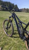 S works stumpjumper custom