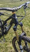 S works stumpjumper custom