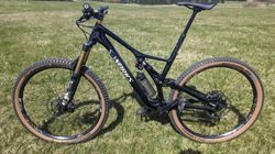 S works stumpjumper custom