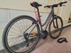 Trekking bike, Evado 1.0 Lady