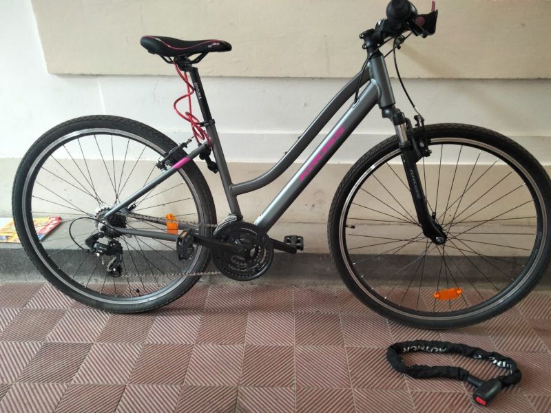 Trekking bike, Evado 1.0 Lady