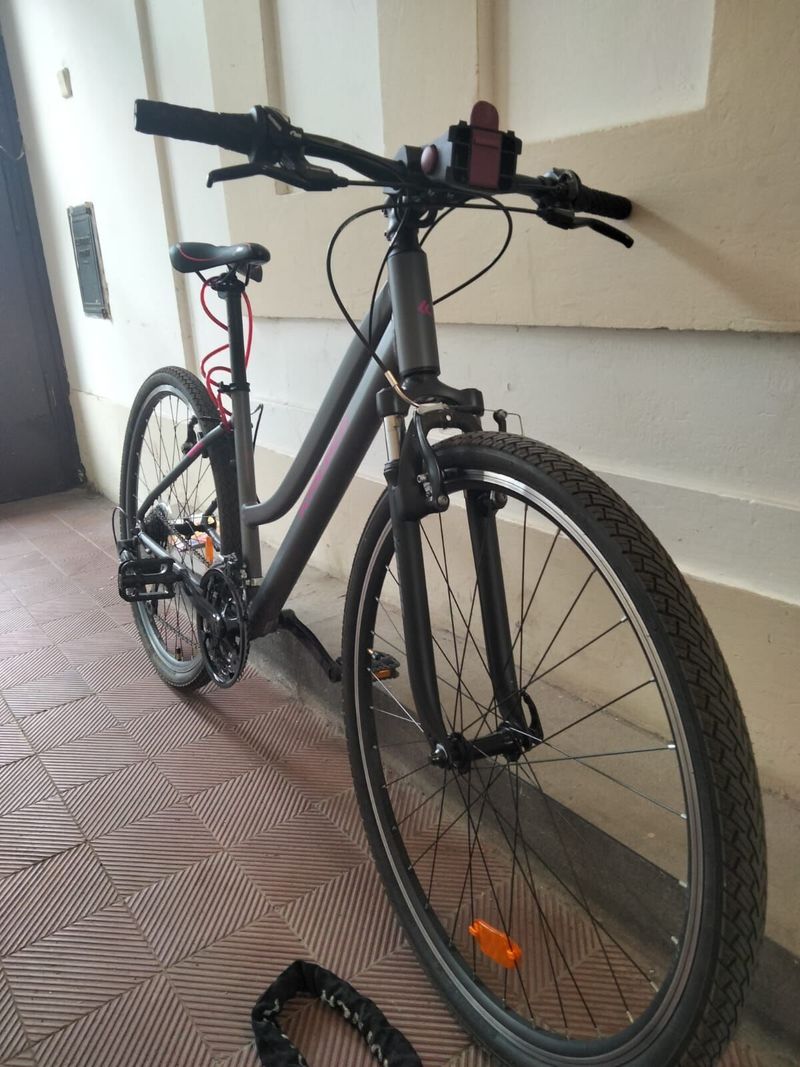 Trekking bike, Evado 1.0 Lady