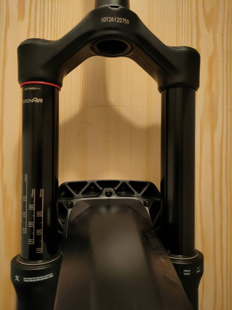 RockShox Domain R