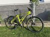 SPECIALIZED Rockhopper Expert 29