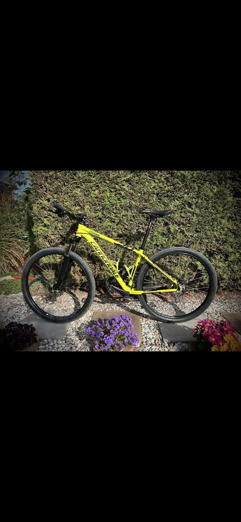 Cannondale Trail 