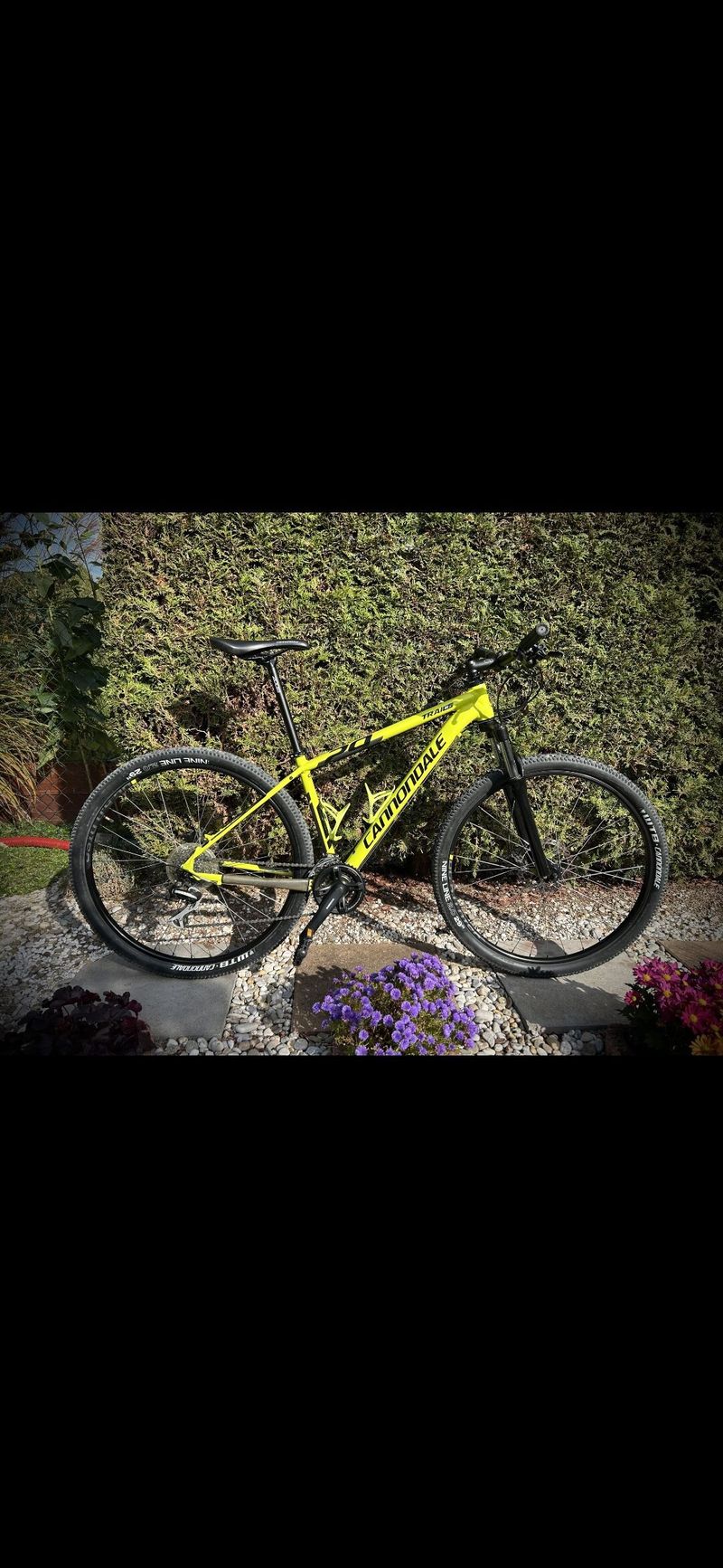 Cannondale Trail 