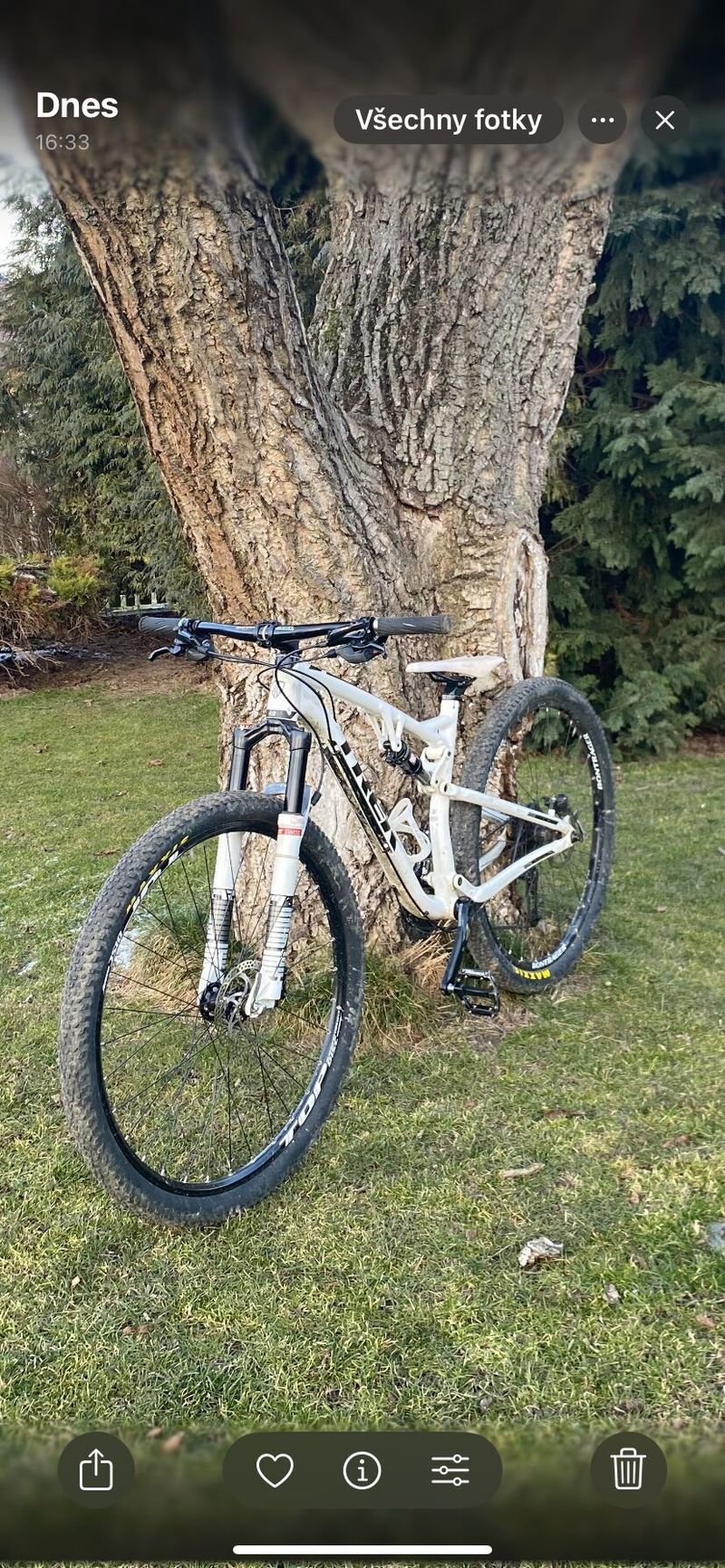 Trek Slash