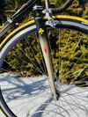 Colnago Master Bititan Decor