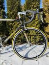 Colnago Master Bititan Decor