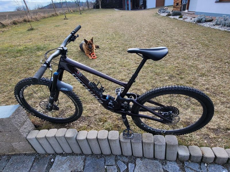 Specialized enduro Expert