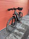 Trek Powerfly 5