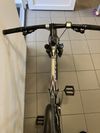 Kellys Quartz 26, Alivio, Suntour XCR, 17,5 palců