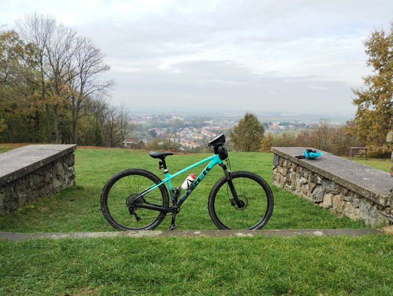 Trek Marli 6