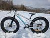 Dětský fat bike Totem legion 24"