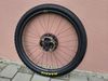 MAXXIS rekon race EXO TR 29x2,35