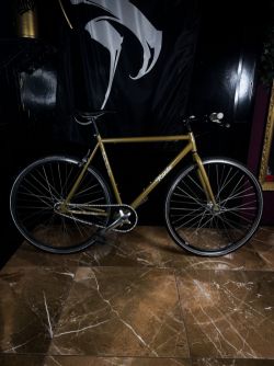 RONDA - FIXED GEAR