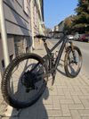 Trek Remedy 8