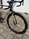 Focus Izalco