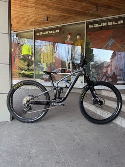 Custom Trek Fuel Ex