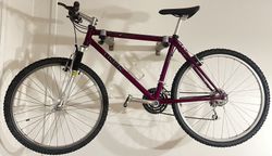 MTB Trek 930