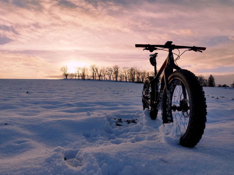 SPECIALIZED FATBOY CARBON 