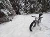 FAT bike Specialized