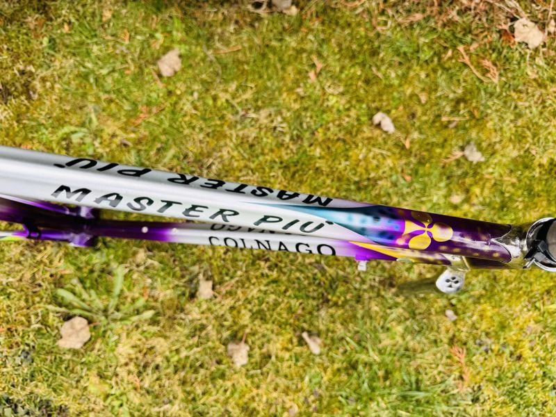 Colnago Master Piú