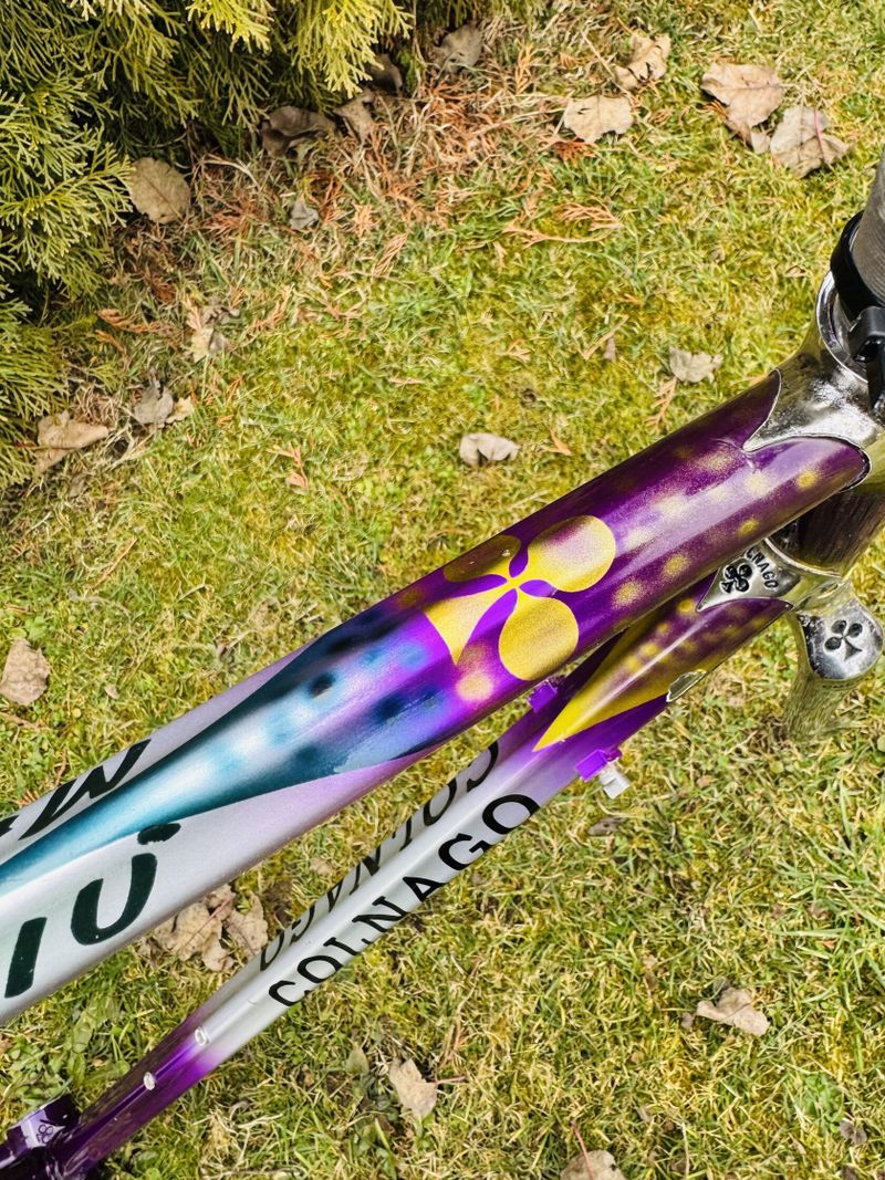 Colnago Master Piú