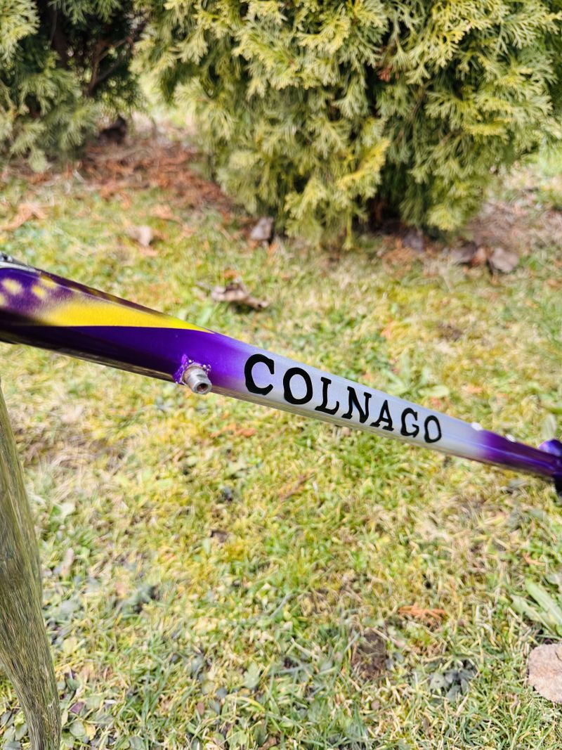 Colnago Master Piú