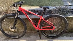 Specialized Rockhopper 29