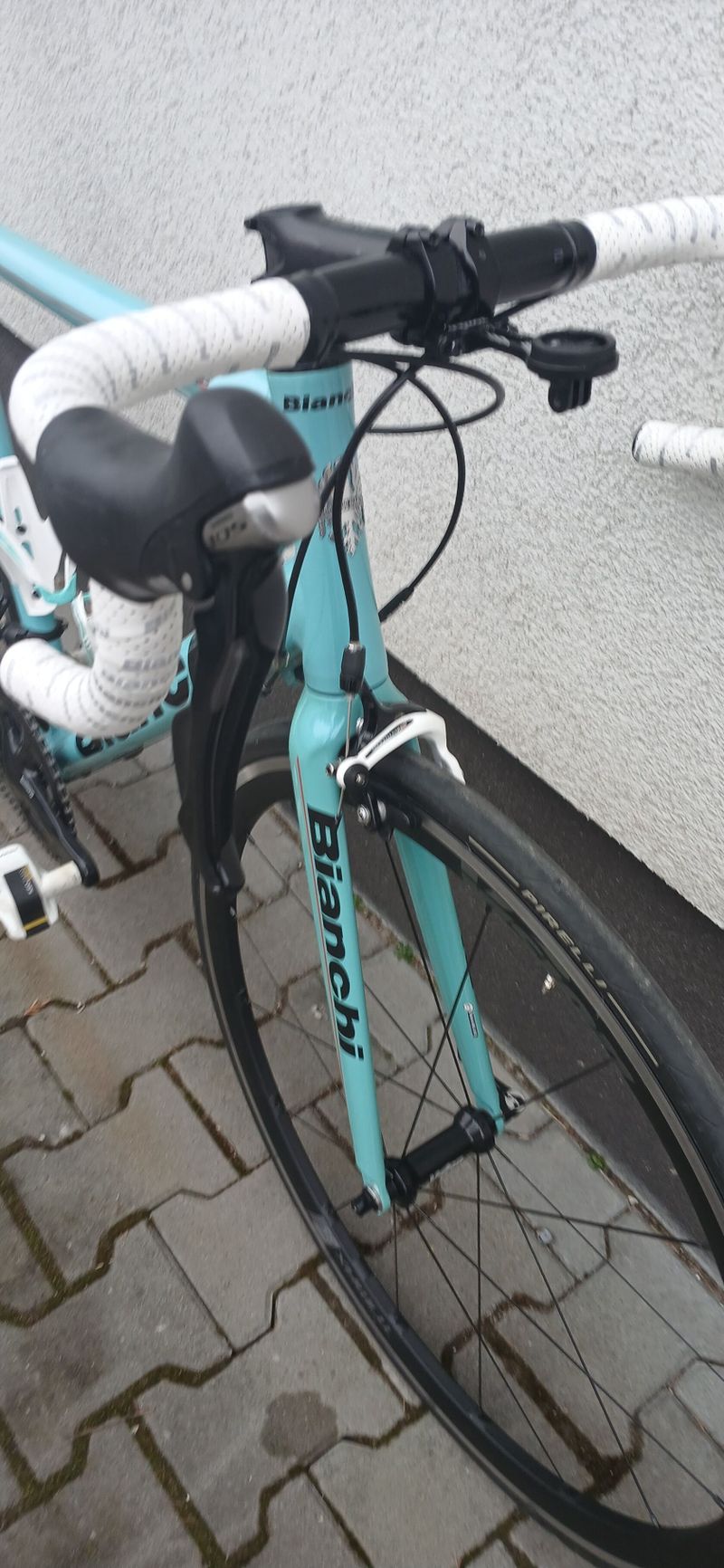 Bianchi Felice 