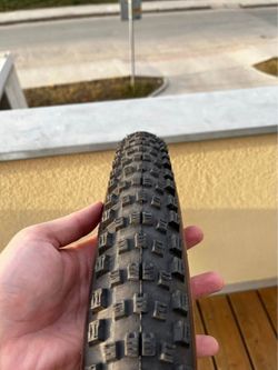 Schwalbe Wicked Will