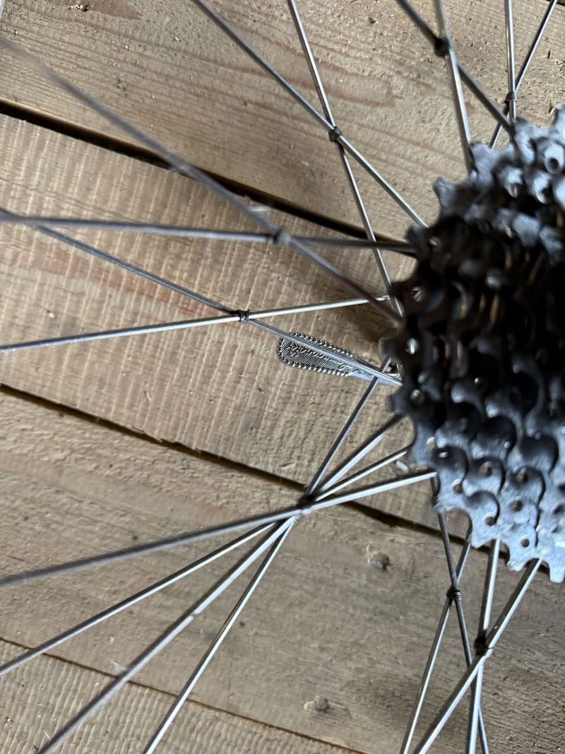 Campagnolo record zapletená kola