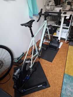 Wahoo Kicker V6 s Canyon Endurace AL 6