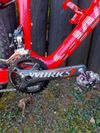 MTB / Horské kolo Specialized S-Works Epic - vel L