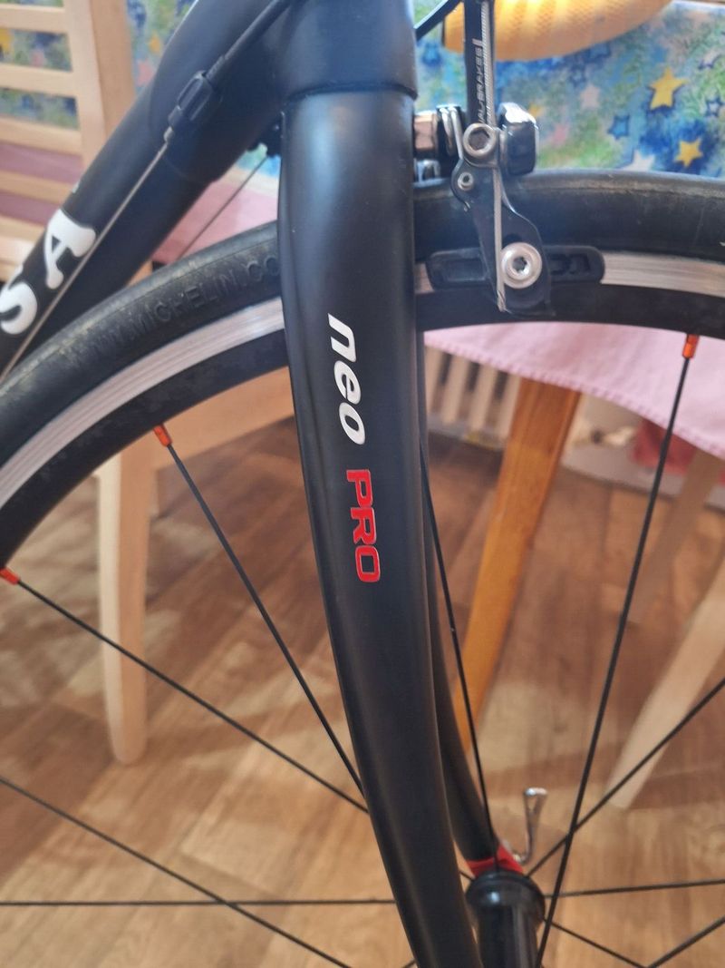 De rosa neo pro