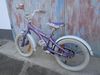 Dětské kolo Schwinn Stardust 16