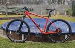 SPECIALIZED ROCKHOPPER COMP XL