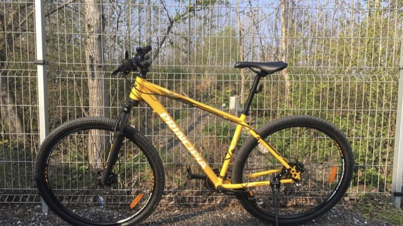 MTB Principia Evoke