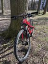 Specialized Epic FSR Comp 29” M