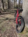 Specialized Epic FSR Comp 29” M