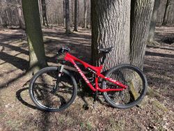 Specialized Epic FSR Comp 29” M