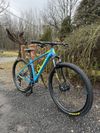 Orbea Alma H50