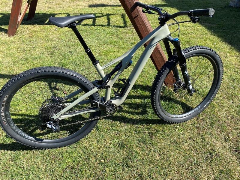 Specialized Stumpjumper Expert Karbon 29